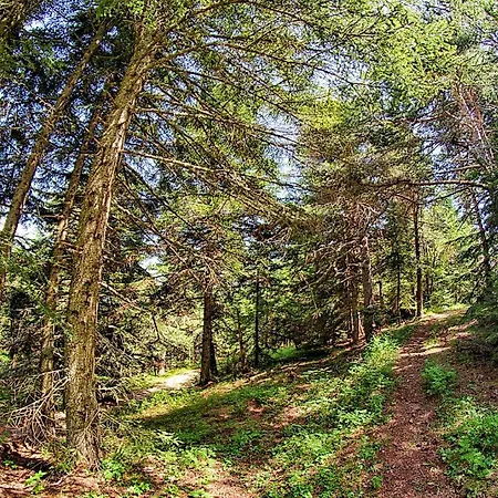 Colline Morghetta Nyaraló Isolabona