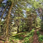 Colline Morghetta Vakantiehuis Isolabona