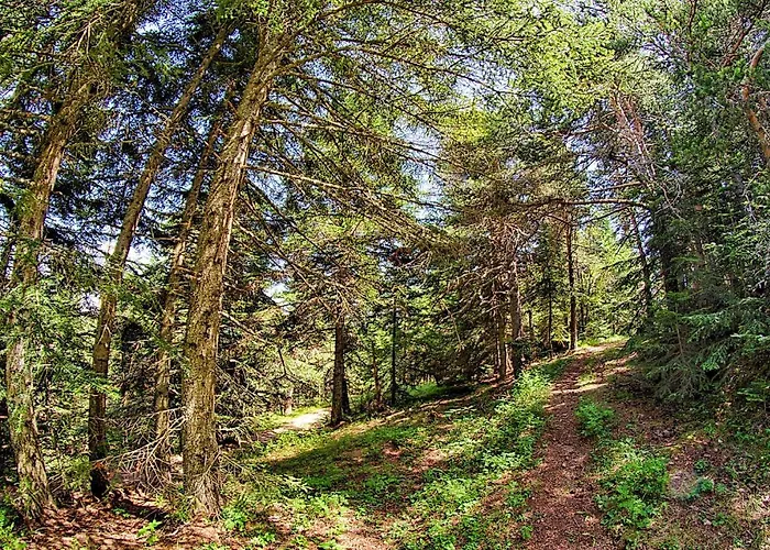 Colline Morghetta Prázdninový dům Isolabona